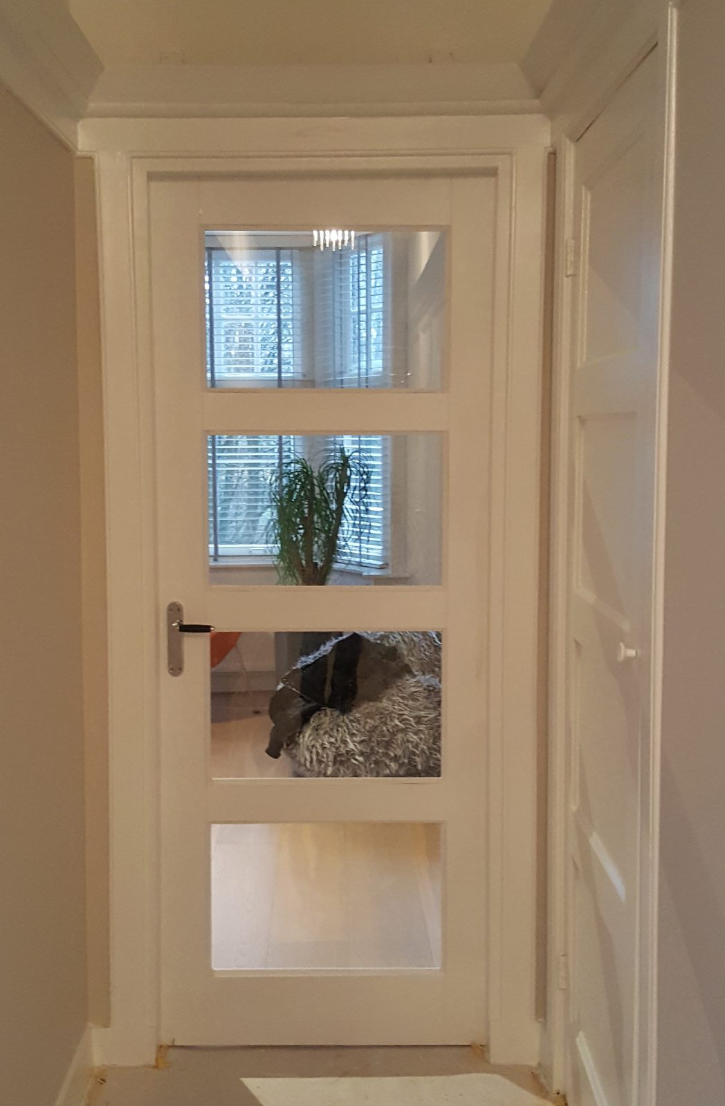 binnendeur met glas rbhoutwerk binnendeur